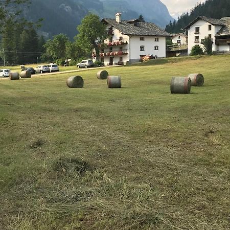 Flora Alpina Apartments-Residenza Verdebjo Gressoney-Saint-Jean Zewnętrze zdjęcie