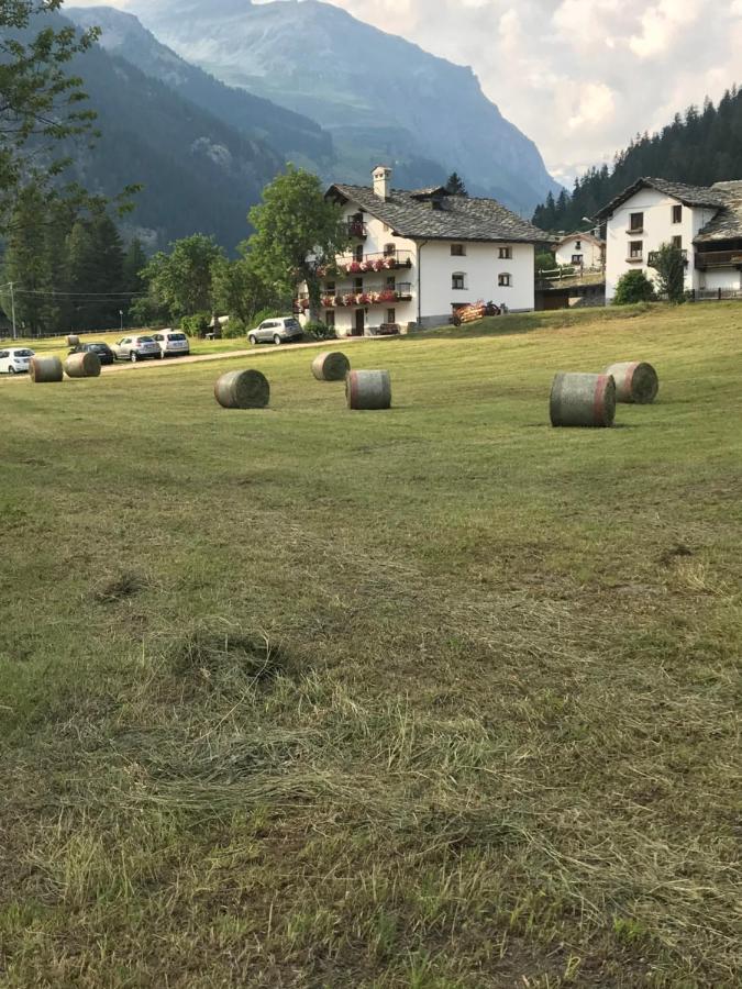 Flora Alpina Apartments-Residenza Verdebjo Gressoney-Saint-Jean Zewnętrze zdjęcie