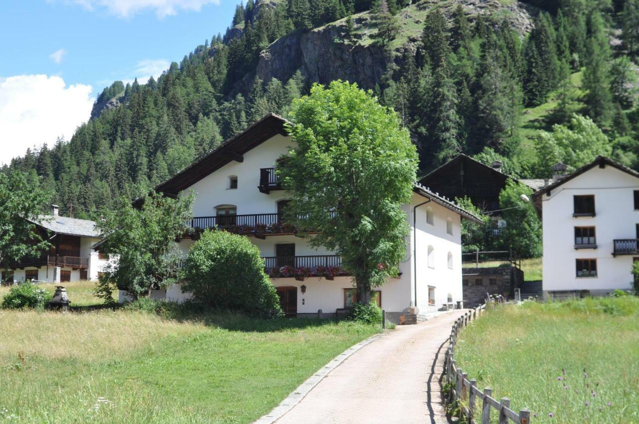 Flora Alpina Apartments-Residenza Verdebjo Gressoney-Saint-Jean Zewnętrze zdjęcie