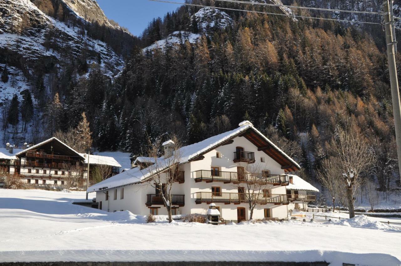 Flora Alpina Apartments-Residenza Verdebjo Gressoney-Saint-Jean Zewnętrze zdjęcie
